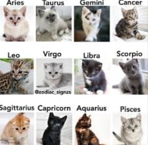 What cute cat did you guys get? | image tagged in zodiac signs | made w/ Imgflip meme maker