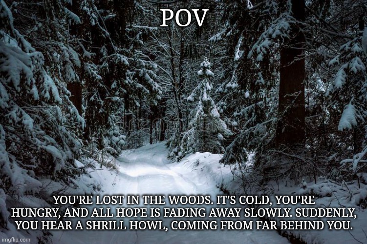 Not my background. I can't draw nearly that good :D | POV; YOU'RE LOST IN THE WOODS. IT'S COLD, YOU'RE HUNGRY, AND ALL HOPE IS FADING AWAY SLOWLY. SUDDENLY, YOU HEAR A SHRILL HOWL, COMING FROM FAR BEHIND YOU. | image tagged in spoopy | made w/ Imgflip meme maker