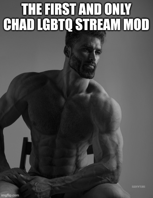 Giga Chad | THE FIRST AND ONLY CHAD LGBTQ STREAM MOD | image tagged in giga chad | made w/ Imgflip meme maker