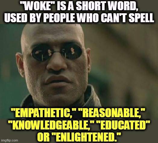 Woke? | "WOKE" IS A SHORT WORD, USED BY PEOPLE WHO CAN'T SPELL; "EMPATHETIC," "REASONABLE," 

"KNOWLEDGEABLE," "EDUCATED" OR "ENLIGHTENED." | image tagged in memes,matrix morpheus,woke,asleep,empathy,education | made w/ Imgflip meme maker