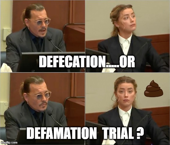 Depp Heard | DEFECATION.....OR; DEFAMATION  TRIAL ? | image tagged in depp heard | made w/ Imgflip meme maker