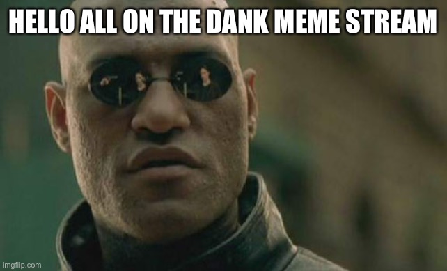 Matrix Morpheus Meme | HELLO ALL ON THE DANK MEME STREAM | image tagged in memes,matrix morpheus | made w/ Imgflip meme maker