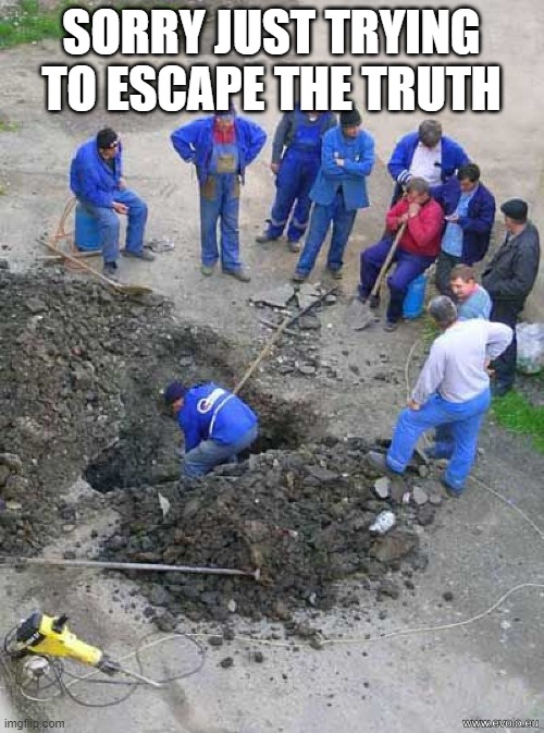 single worker digging hole | SORRY JUST TRYING TO ESCAPE THE TRUTH | image tagged in single worker digging hole | made w/ Imgflip meme maker