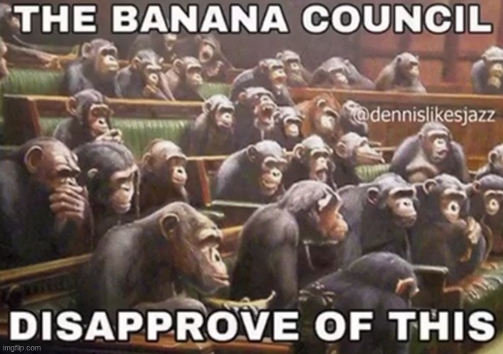 the banana council | image tagged in the banana council | made w/ Imgflip meme maker