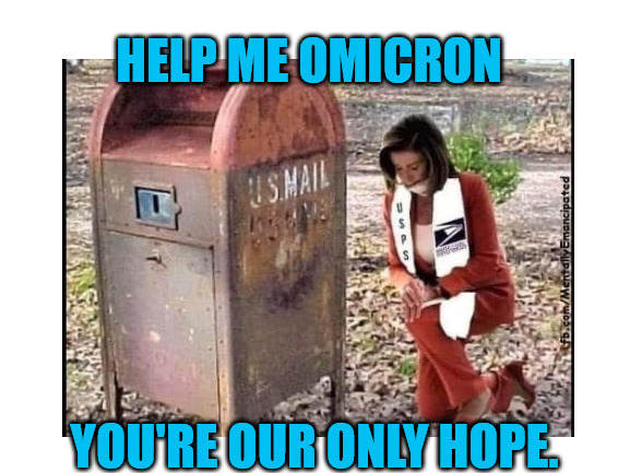 Nancy Asks for Help |  HELP ME OMICRON; YOU'RE OUR ONLY HOPE. | image tagged in nancy pelosi,omicron | made w/ Imgflip meme maker