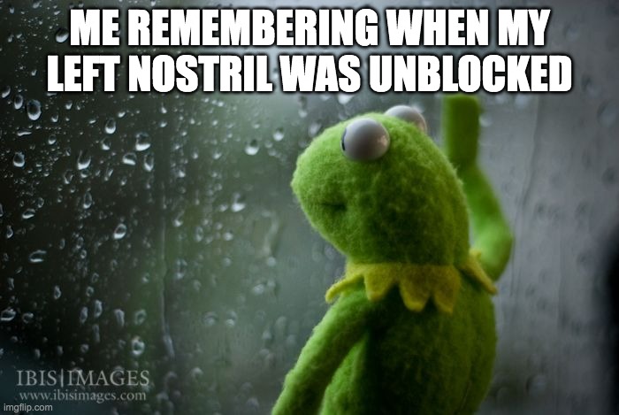 I hate being sick | ME REMEMBERING WHEN MY LEFT NOSTRIL WAS UNBLOCKED | image tagged in kermit window,memes,kermit,sick,sad,relatable | made w/ Imgflip meme maker