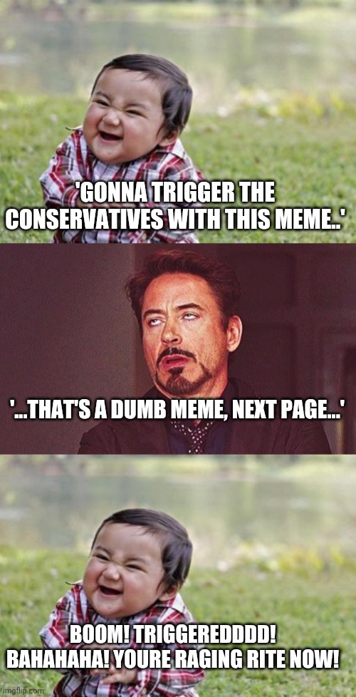 The bizarre state of internet liberals | 'GONNA TRIGGER THE CONSERVATIVES WITH THIS MEME..'; '...THAT'S A DUMB MEME, NEXT PAGE...'; BOOM! TRIGGEREDDDD! BAHAHAHA! YOURE RAGING RITE NOW! | image tagged in kid rubbing hands,robert downey jr annoyed | made w/ Imgflip meme maker