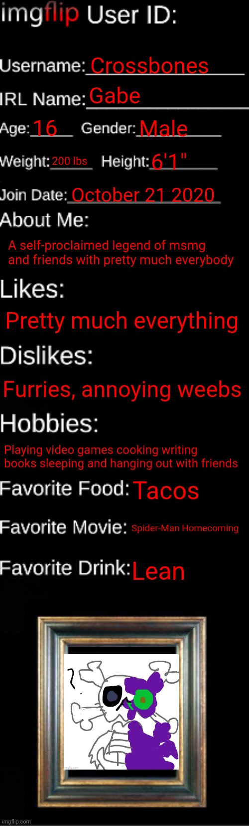 imgflip ID Card | Crossbones; Gabe; 16; Male; 200 lbs; 6'1"; October 21 2020; A self-proclaimed legend of msmg and friends with pretty much everybody; Pretty much everything; Furries, annoying weebs; Playing video games cooking writing books sleeping and hanging out with friends; Tacos; Spider-Man Homecoming; Lean | image tagged in imgflip id card | made w/ Imgflip meme maker