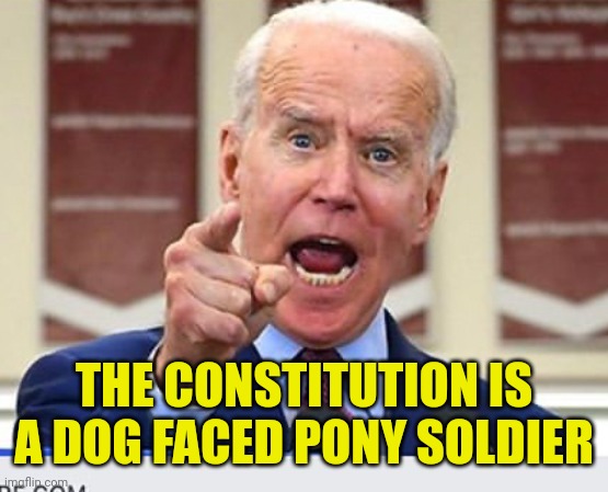 Joe Biden no malarkey | THE CONSTITUTION IS A DOG FACED PONY SOLDIER | image tagged in joe biden no malarkey | made w/ Imgflip meme maker