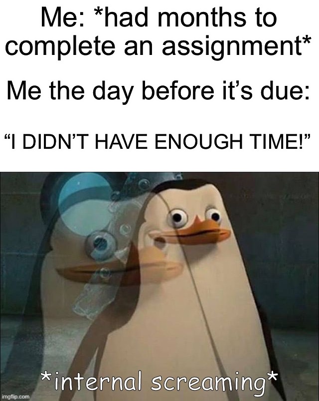 Painfully true | Me: *had months to complete an assignment*; Me the day before it’s due:; “I DIDN’T HAVE ENOUGH TIME!” | image tagged in private internal screaming,memes,funny,painful,assignment,school | made w/ Imgflip meme maker