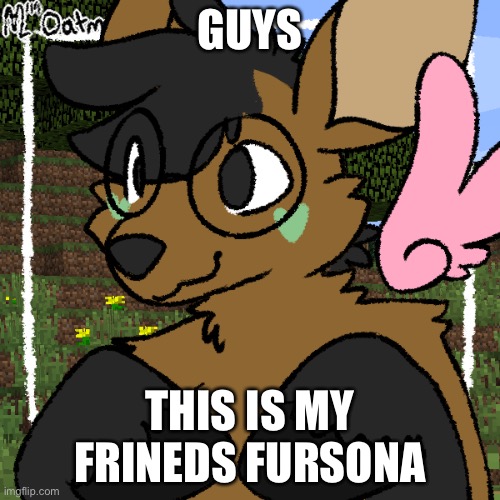 his name is Sauc- | GUYS; THIS IS MY FRINEDS FURSONA | image tagged in swacey fwursona | made w/ Imgflip meme maker