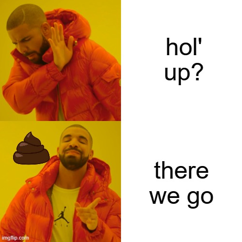 hold up? | hol' up? there we go | image tagged in memes,drake hotline bling | made w/ Imgflip meme maker