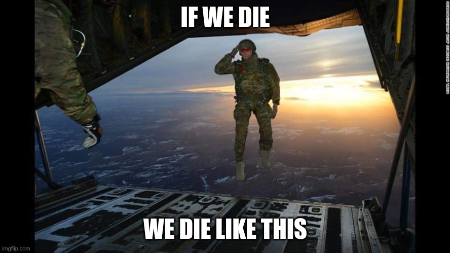 If we.. |  IF WE DIE; WE DIE LIKE THIS | image tagged in military skydive solute | made w/ Imgflip meme maker