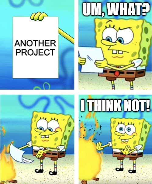 Project | UM, WHAT? ANOTHER PROJECT; I THINK NOT! | image tagged in spongebob burning paper | made w/ Imgflip meme maker