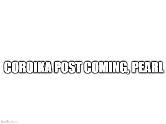Blank White Template | COROIKA POST COMING, PEARL | image tagged in blank white template | made w/ Imgflip meme maker