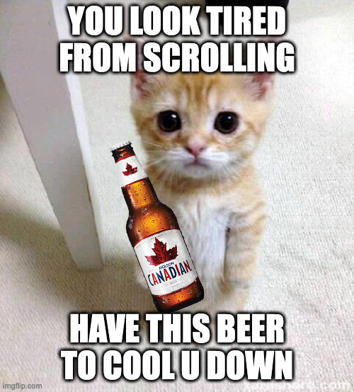 Cute Cat | YOU LOOK TIRED FROM SCROLLING; HAVE THIS BEER TO COOL U DOWN | image tagged in memes,cute cat | made w/ Imgflip meme maker