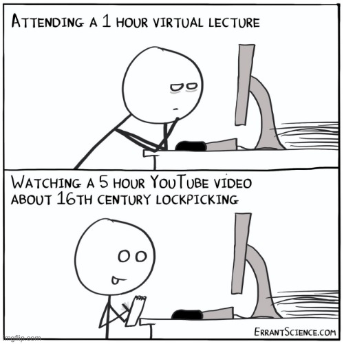 image tagged in comics,errant science,video conference,lock picking,true story | made w/ Imgflip meme maker