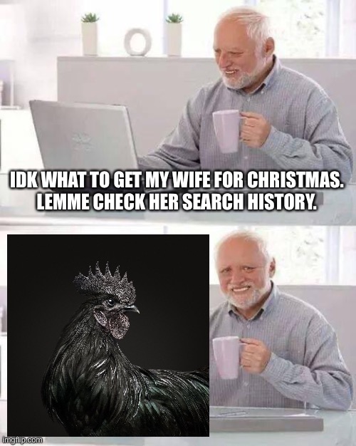 Hide the Pain Harold Meme | IDK WHAT TO GET MY WIFE FOR CHRISTMAS.
LEMME CHECK HER SEARCH HISTORY. | image tagged in memes,hide the pain harold | made w/ Imgflip meme maker