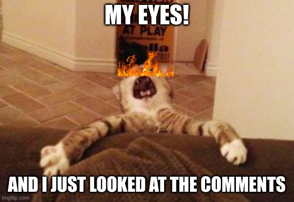 Cat Falling | MY EYES! AND I JUST LOOKED AT THE COMMENTS | image tagged in cat falling | made w/ Imgflip meme maker