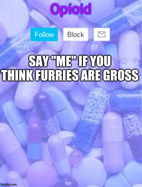 Not me. | SAY "ME" IF YOU THINK FURRIES ARE GROSS | made w/ Imgflip meme maker