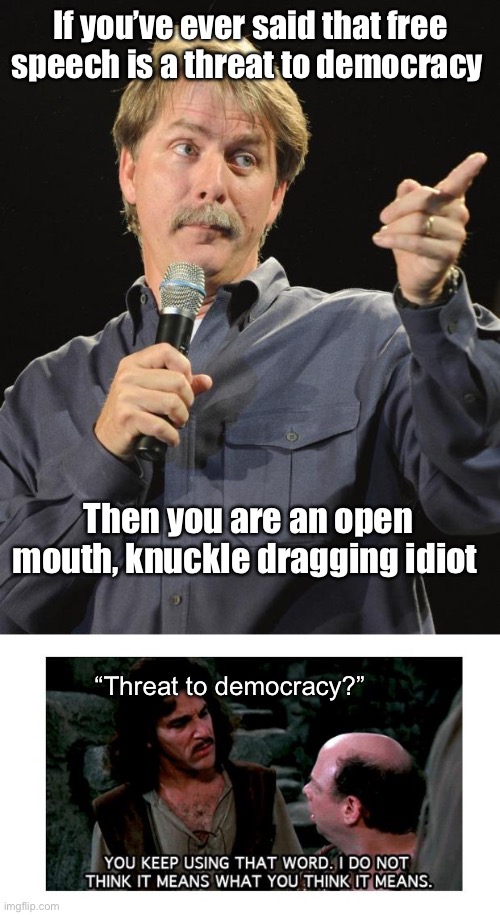 Stupid is as stupid does | If you’ve ever said that free speech is a threat to democracy; Then you are an open mouth, knuckle dragging idiot; “Threat to democracy?” | image tagged in jeff foxworthy,definition hound inigo montoya,politics lol | made w/ Imgflip meme maker