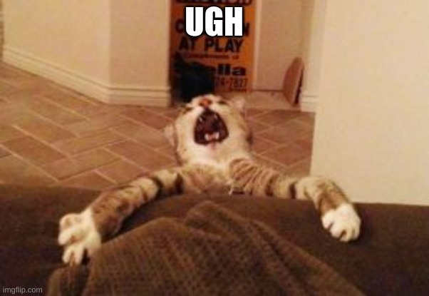 Cat Falling | UGH | image tagged in cat falling | made w/ Imgflip meme maker