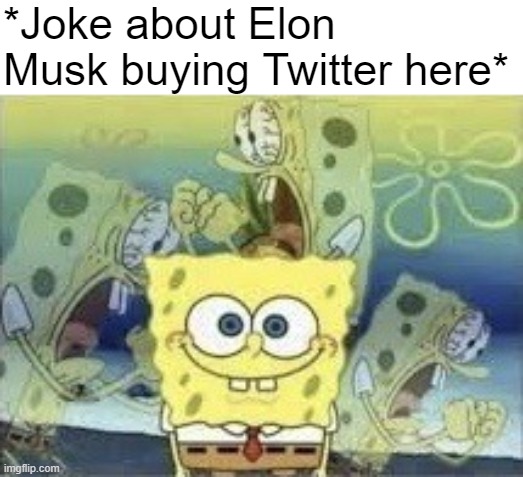 no one: ㅤㅤㅤelon-musk-buying-twitter memes: | *Joke about Elon Musk buying Twitter here* | image tagged in memes,spongebob internal screaming,elon musk,twitter,stop reading the tags,charts | made w/ Imgflip meme maker