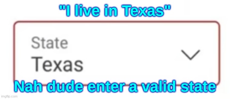 "I live in Texas"; Nah dude enter a valid state | made w/ Imgflip meme maker