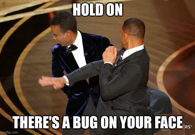 Will Smith's excuse | HOLD ON; THERE'S A BUG ON YOUR FACE | image tagged in will smith punching chris rock | made w/ Imgflip meme maker