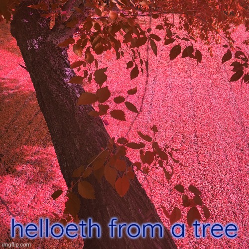 helloeth from a tree | made w/ Imgflip meme maker