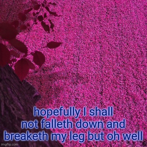 hopefully I shall not falleth down and breaketh my leg but oh well | made w/ Imgflip meme maker