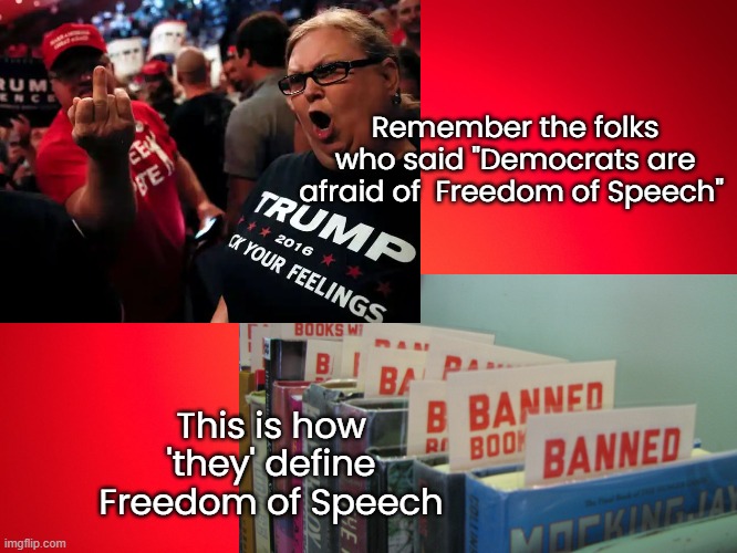 Banned books by Freedom lovin' Republican'ts | Remember the folks who said "Democrats are afraid of  Freedom of Speech"; This is how 'they' define Freedom of Speech | image tagged in freedom of speech,banned,books,critical race theory,first amendment,human rights | made w/ Imgflip meme maker