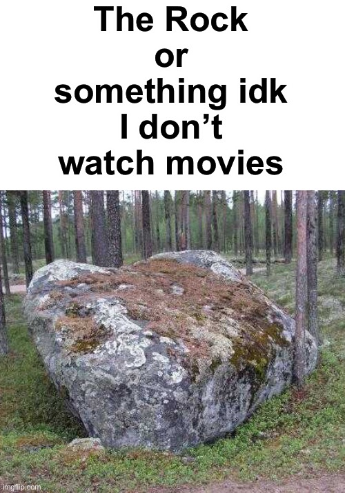  The Rock or something idk I don’t watch movies | image tagged in dwayne johnson,the rock,rocks,memes,funny | made w/ Imgflip meme maker