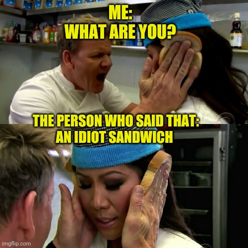 Gordon Ramsay Idiot Sandwich | ME:
WHAT ARE YOU? THE PERSON WHO SAID THAT:
AN IDIOT SANDWICH | image tagged in gordon ramsay idiot sandwich | made w/ Imgflip meme maker