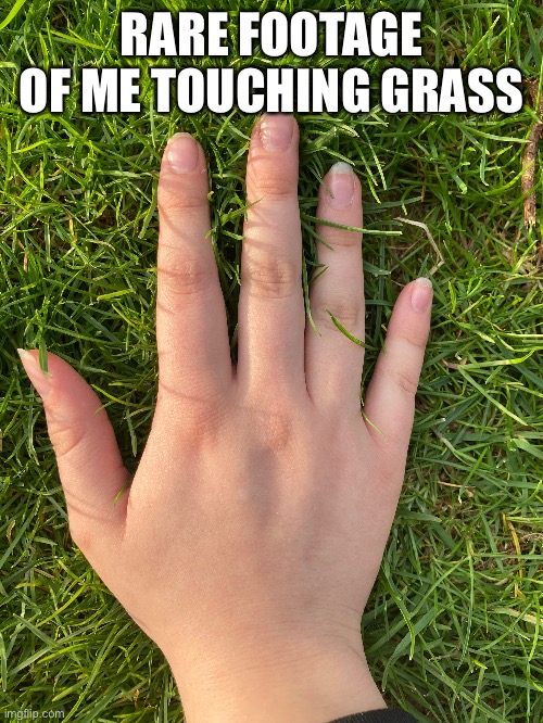 Lol hand reveal ig | RARE FOOTAGE OF ME TOUCHING GRASS | image tagged in memes,touch grass,stop reading the tags | made w/ Imgflip meme maker