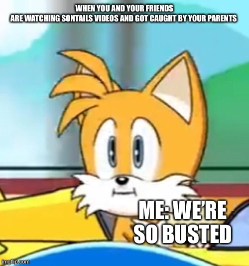 You and your friends got busted. | WHEN YOU AND YOUR FRIENDS ARE WATCHING SONTAILS VIDEOS AND GOT CAUGHT BY YOUR PARENTS; ME: WE’RE SO BUSTED | image tagged in tails hold up,sontails | made w/ Imgflip meme maker