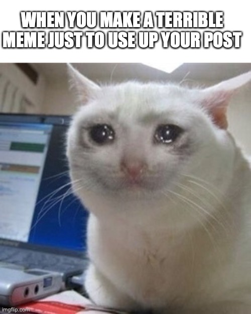 who else does this |  WHEN YOU MAKE A TERRIBLE MEME JUST TO USE UP YOUR POST | image tagged in crying cat,funny,memes,fun,bad | made w/ Imgflip meme maker