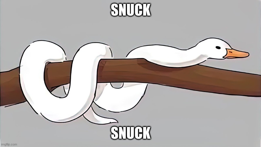 Snuck | SNUCK; SNUCK | image tagged in snuck | made w/ Imgflip meme maker