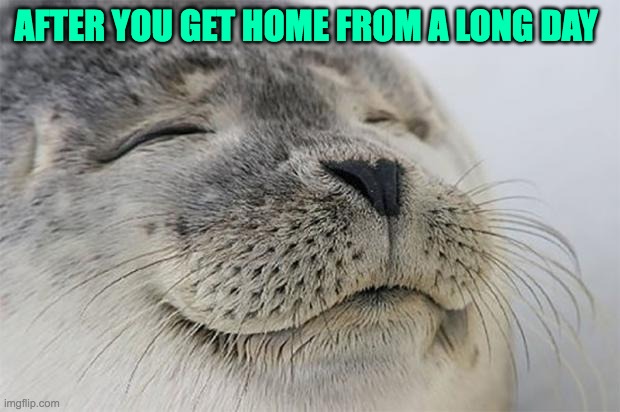 Satisfied Seal Meme | AFTER YOU GET HOME FROM A LONG DAY | image tagged in memes,satisfied seal | made w/ Imgflip meme maker