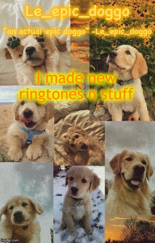 Doggo temp by doggo. Wait what that’s confusing | I made new ringtones n stuff | image tagged in doggo temp by doggo wait what that s confusing | made w/ Imgflip meme maker