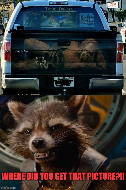 Bigfoot and Rocket | WHERE DID YOU GET THAT PICTURE?!! | image tagged in bigfoot,rocket raccoon,florida man,truck,wtf | made w/ Imgflip meme maker