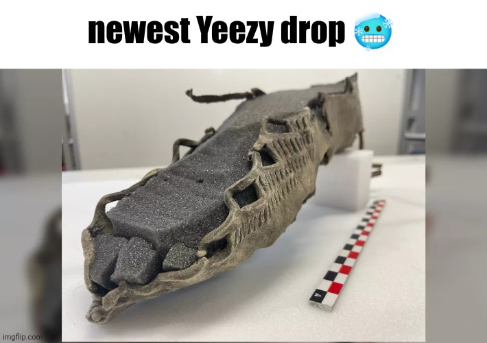 Too cold | newest Yeezy drop 🥶 | image tagged in yeezy | made w/ Imgflip meme maker