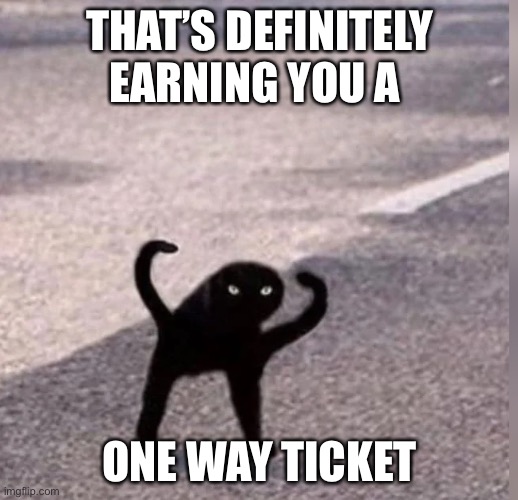Cursed Cat | THAT’S DEFINITELY EARNING YOU A ONE WAY TICKET | image tagged in cursed cat | made w/ Imgflip meme maker