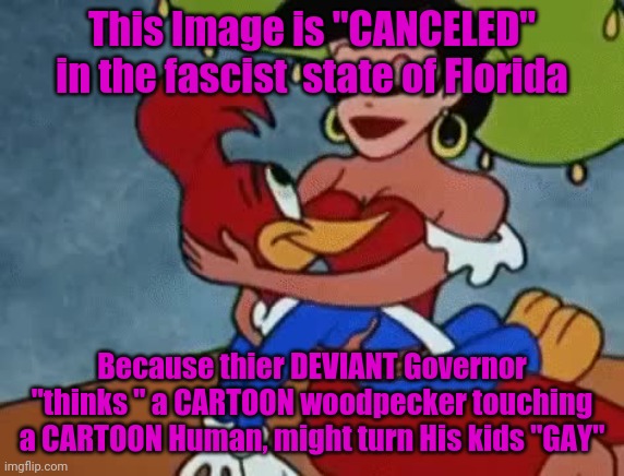 Woody Woodpecker Peck This Wood | This Image is "CANCELED" in the fascist  state of Florida; Because thier DEVIANT Governor "thinks " a CARTOON woodpecker touching a CARTOON Human, might turn His kids "GAY" | image tagged in woody woodpecker peck this wood | made w/ Imgflip meme maker