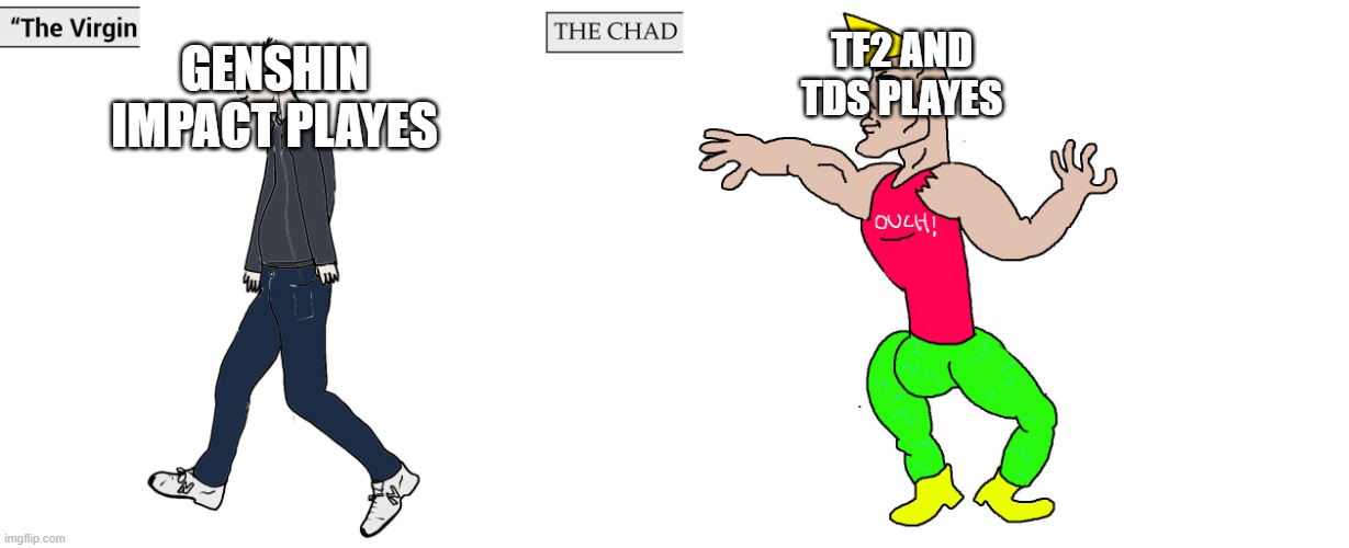 True | GENSHIN IMPACT PLAYES; TF2 AND TDS PLAYES | image tagged in virgin and chad | made w/ Imgflip meme maker