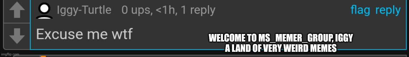 WELCOME TO MS_MEMER_GROUP, IGGY
A LAND OF VERY WEIRD MEMES | made w/ Imgflip meme maker