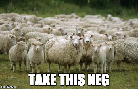 6e9b6.jpg