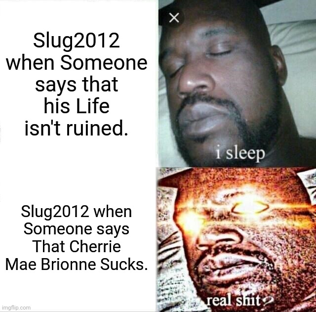 Never talk shit about Slug2012's Cherrie Mae Brionne. | Slug2012 when Someone says that his Life isn't ruined. Slug2012 when Someone says That Cherrie Mae Brionne Sucks. | image tagged in memes,sleeping shaq | made w/ Imgflip meme maker