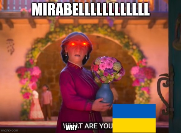 What are you doing? | MIRABELLLLLLLLLLLL; WHY | image tagged in what are you doing | made w/ Imgflip meme maker