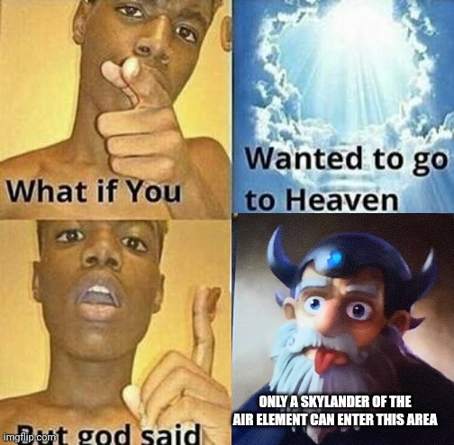 ONLY A SKYLANDER OF THE AIR ELEMENT CAN ENTER THIS AREA | made w/ Imgflip meme maker